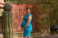 Rocio Maternity Proofs